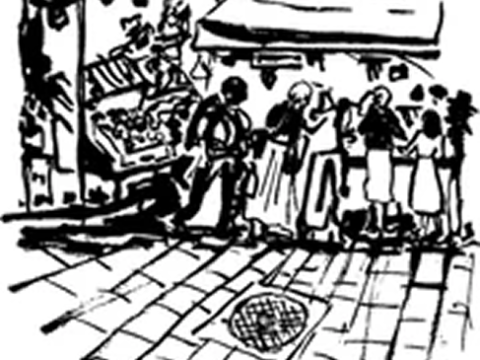The Shuk